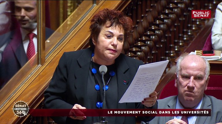 Question au Gouvernement sur la réforme des universités et les mouvements étudiants (10 avril 2018)